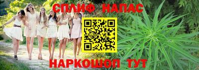 крисы Малгобек