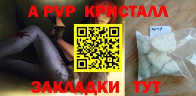 крисы Малгобек