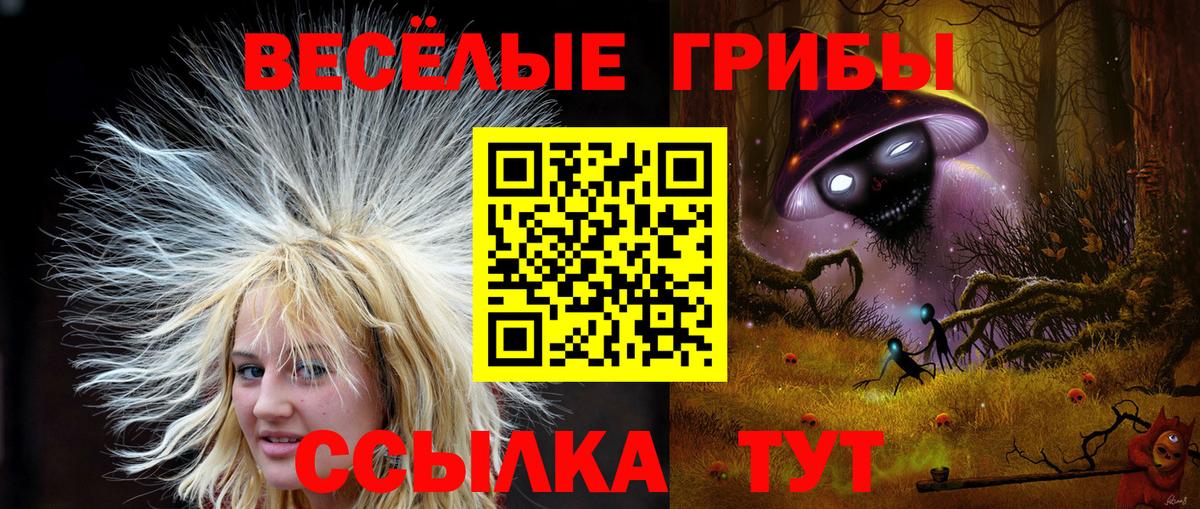 Галлюциногенные грибы MAGIC MUSHROOMS Чехов