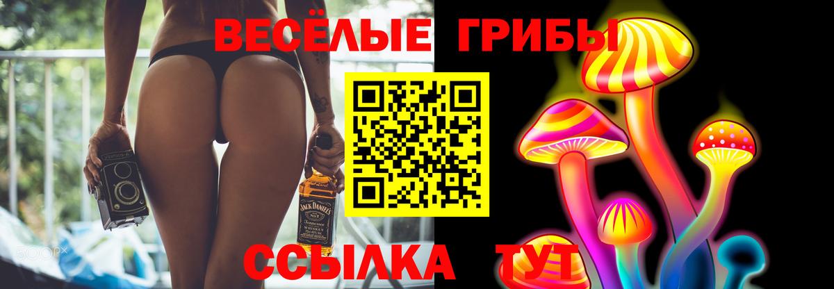 Псилоцибиновые грибы Magic Shrooms  Вход с VPN  Чехов 
